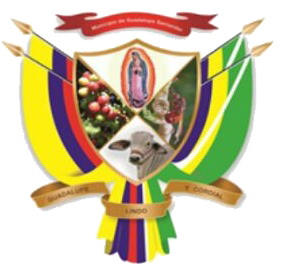 Alcaldí­a de Guadalupe