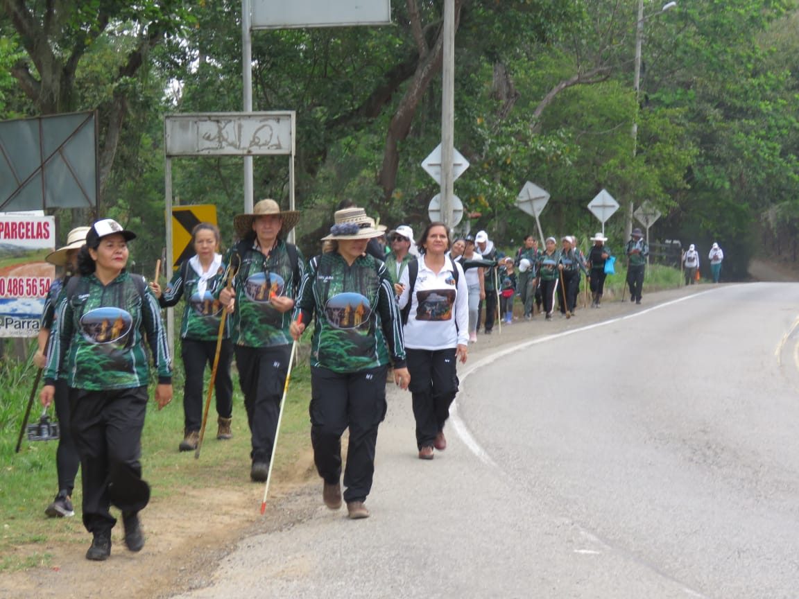 Imagen de la actividad