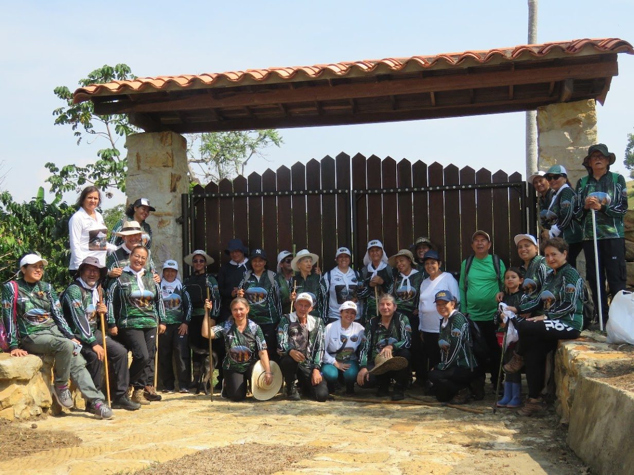 Imagen de la actividad