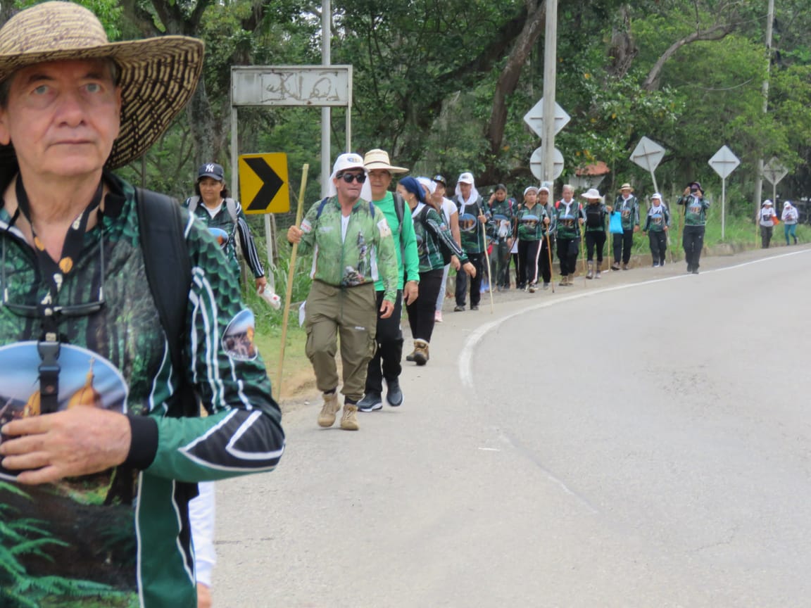 Imagen de la actividad