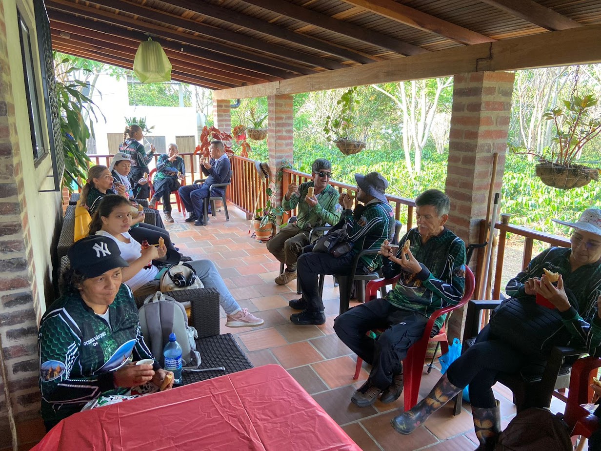 Imagen de la actividad