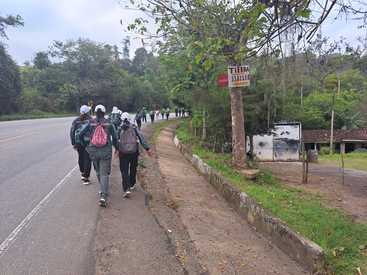 Imagen de la actividad