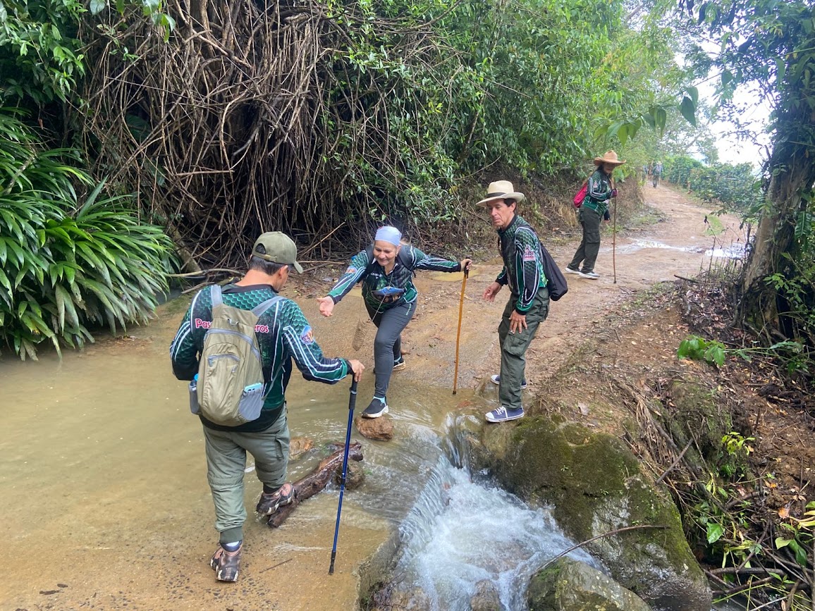 Imagen de la actividad