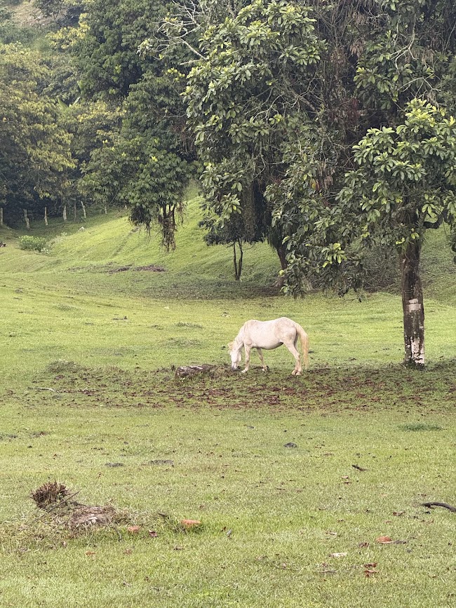 Imagen de la actividad