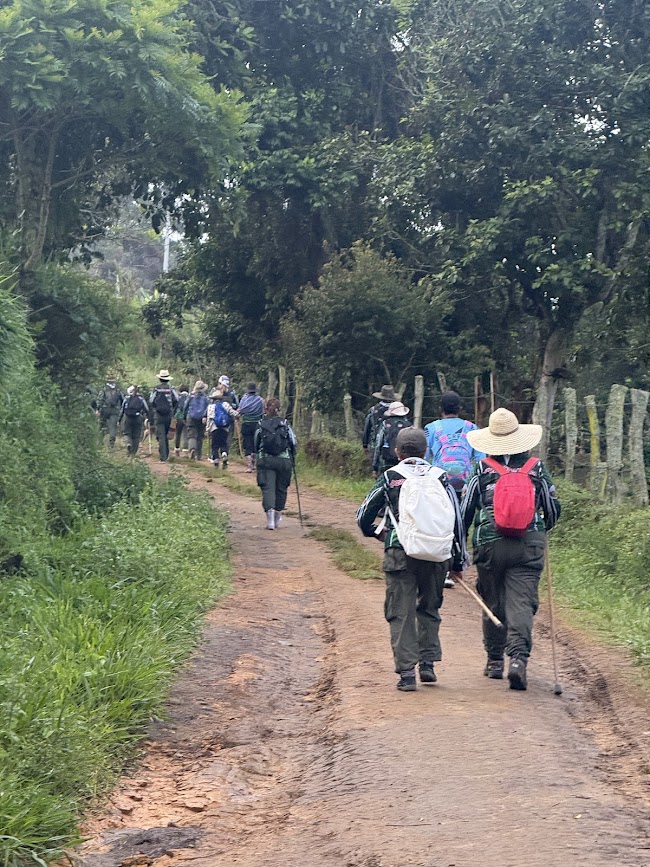 Imagen de la actividad