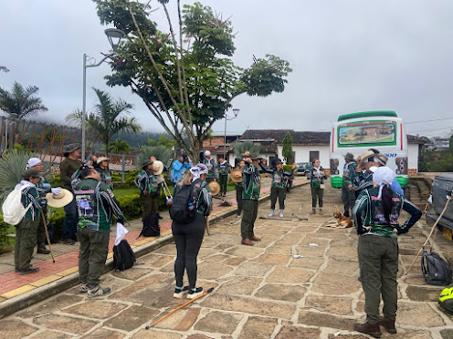 Imagen de la actividad