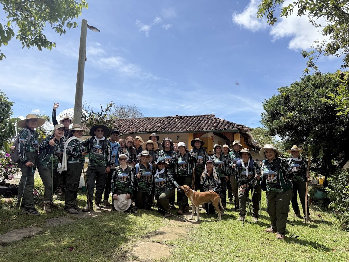 Imagen de la actividad