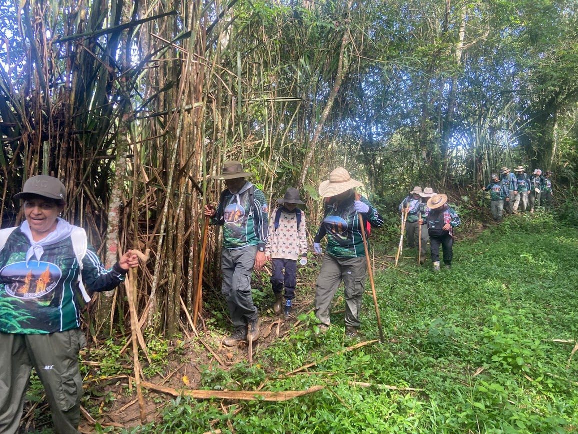 Imagen de la actividad