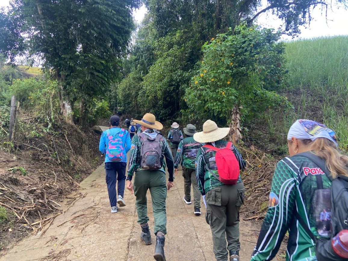 Imagen de la actividad