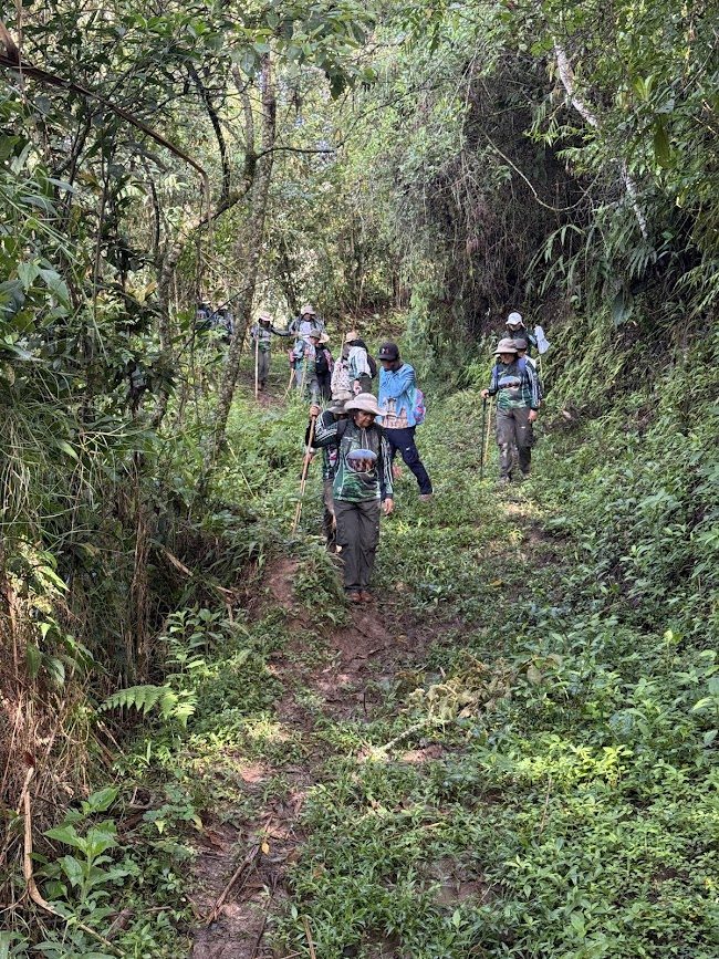 Imagen de la actividad