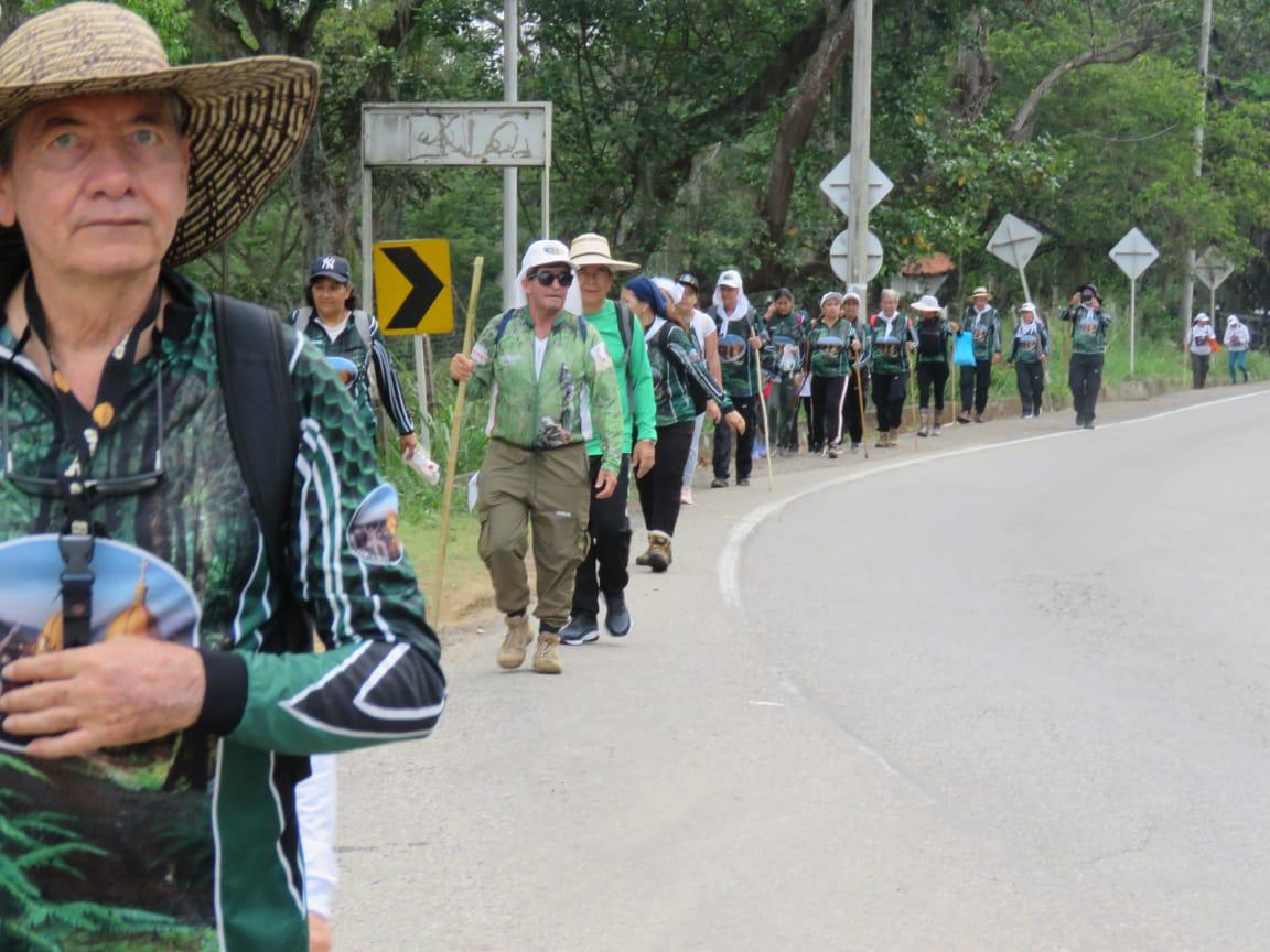 Imagen de la actividad
