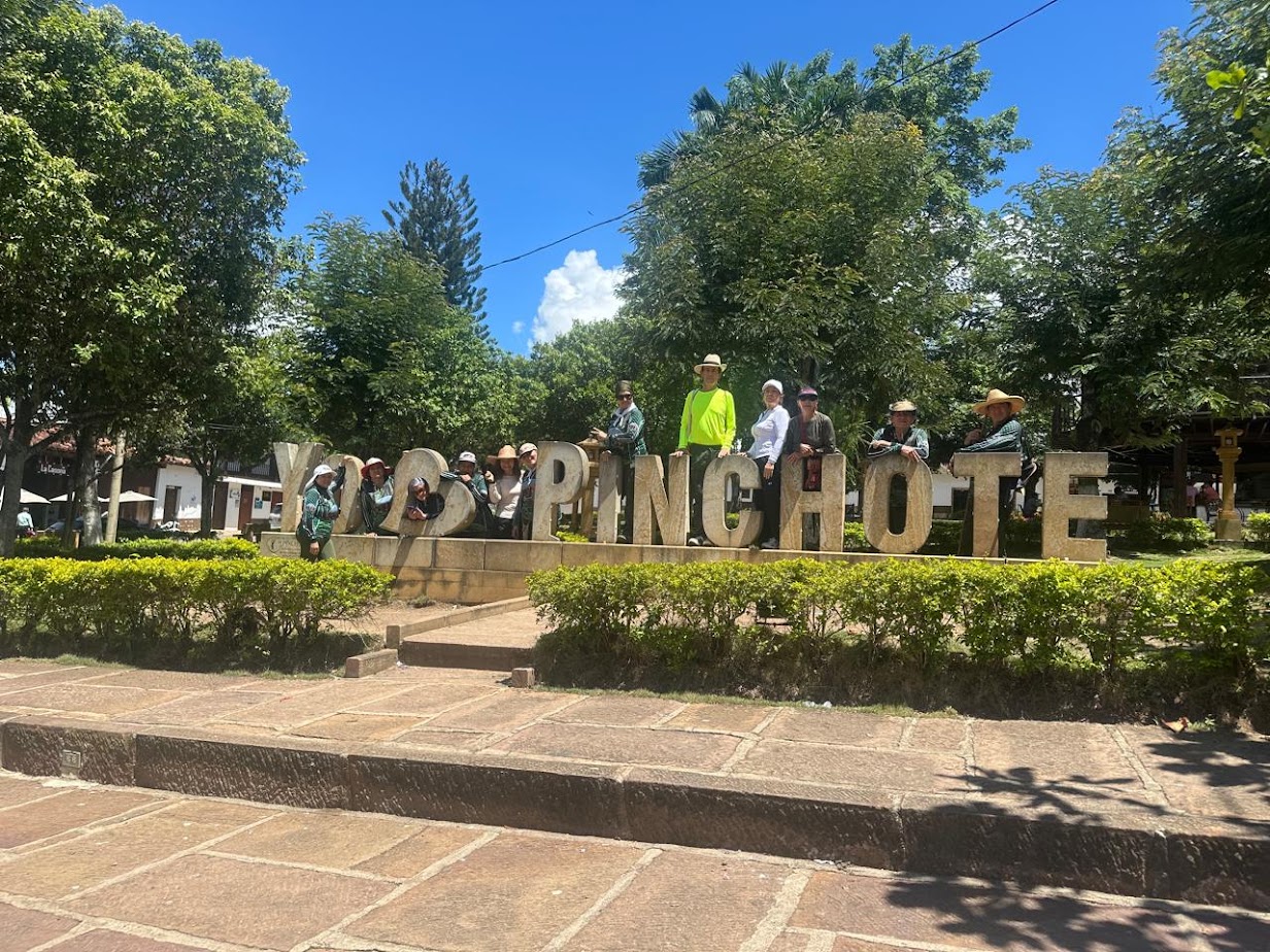 Imagen de la actividad