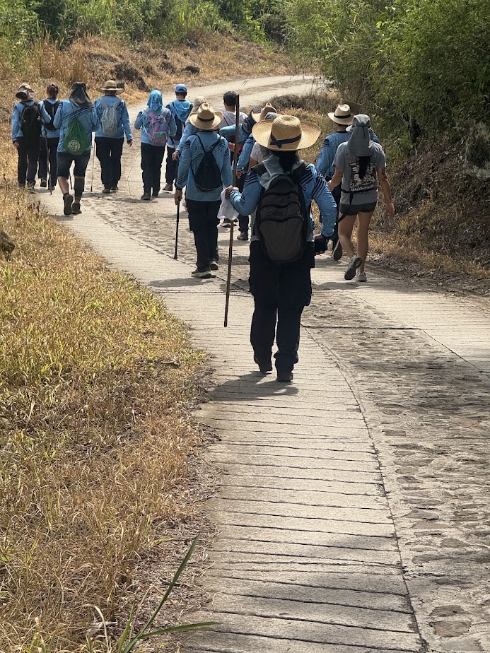 Imagen de la actividad